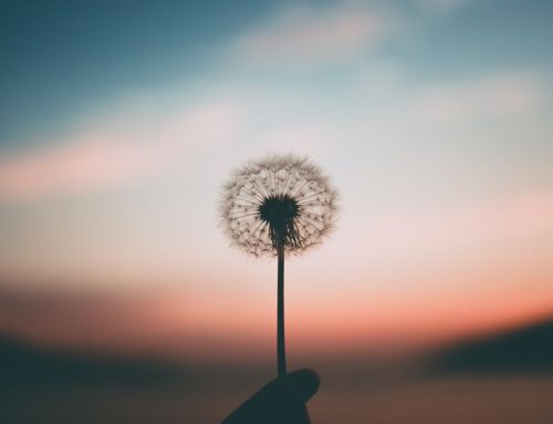 The Gut-Lung Microbiome Connection: A Journey to Better Health